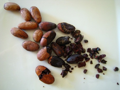 cacao beans in various stages of undress
